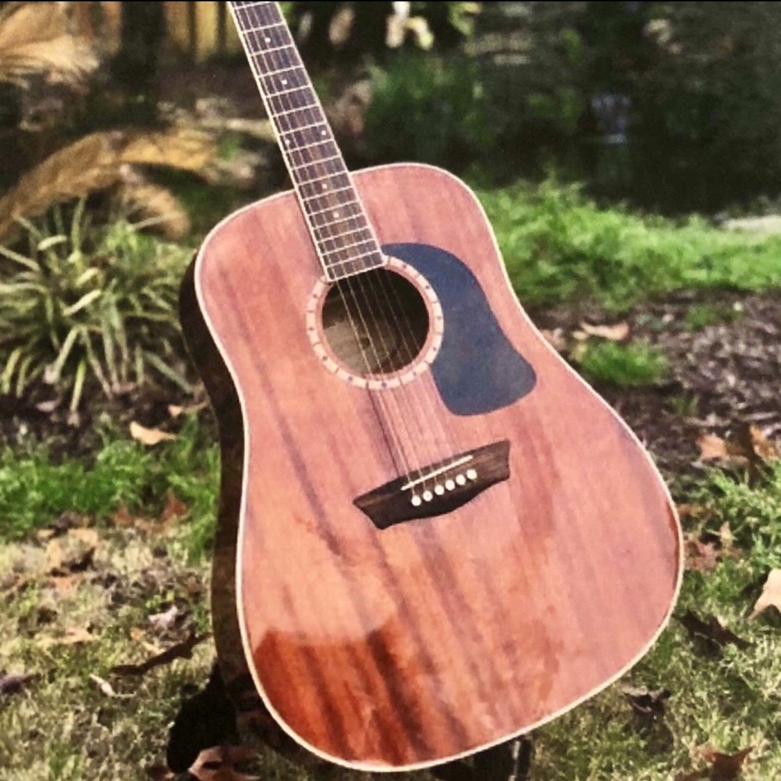 Acoustic guitar resting against a garden, belonged to Julius Cole